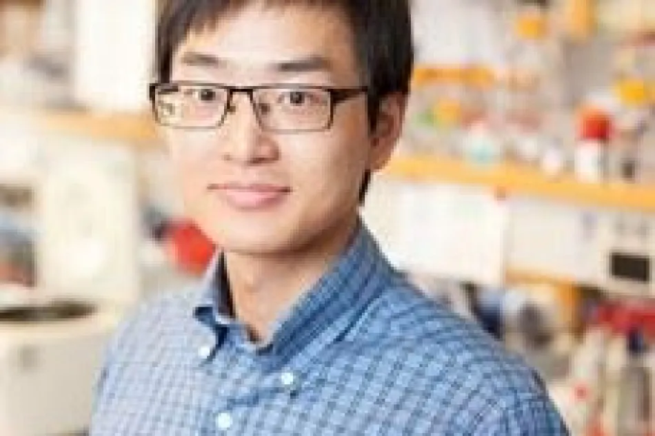 CV Jing Yang